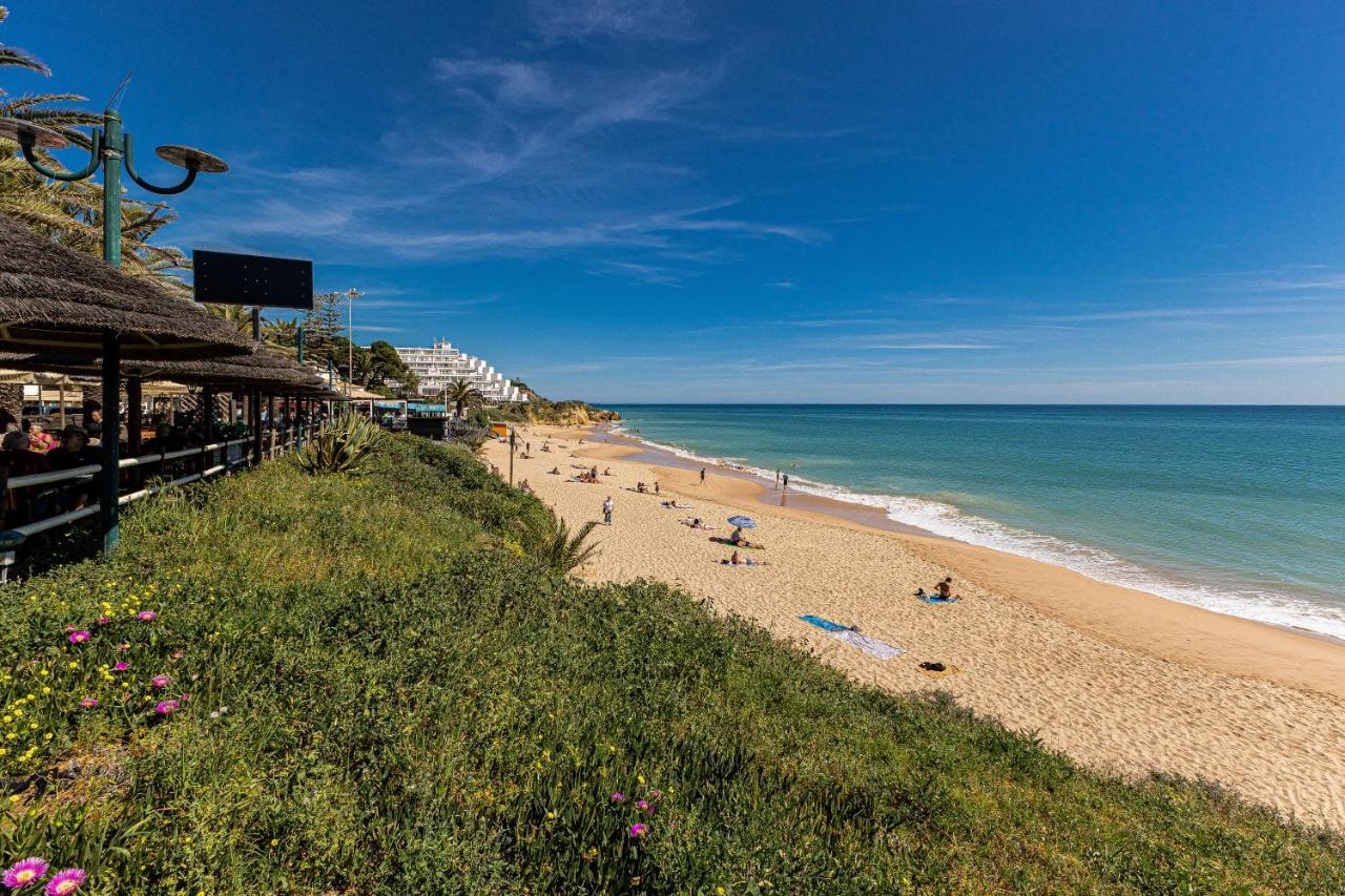 Canto Mar Beach By Alzira Albufeira Exteriör bild